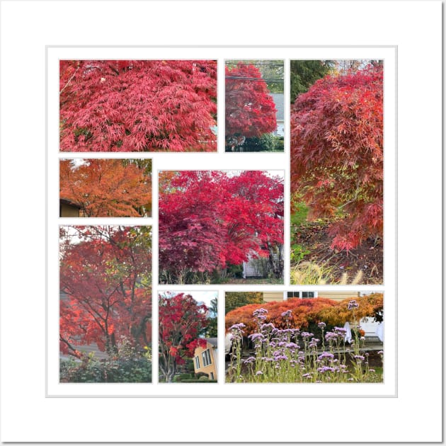 Foliage Collage Wall Art by Barschall